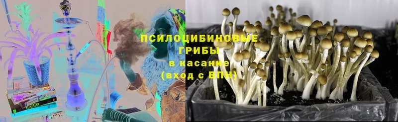 Галлюциногенные грибы GOLDEN TEACHER  Верещагино 